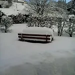Grasser باد كلينكيرشهايم