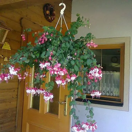 招待所 格拉塞尔公寓旅馆 3*