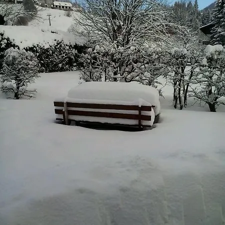 格拉塞尔公寓旅馆 巴德小基希海姆