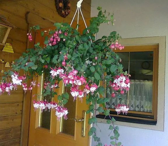 Guest house Grasser 3*